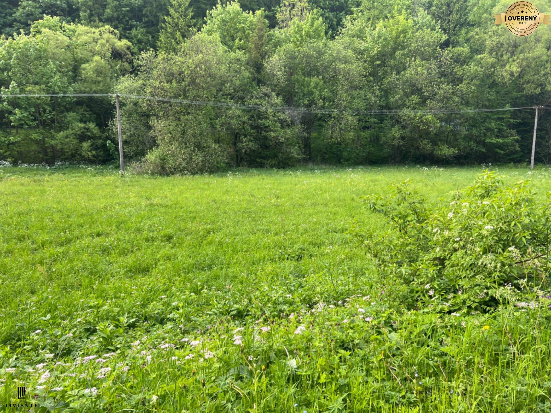 Pozemok_Motycky_LIVIANTE 10.JPG