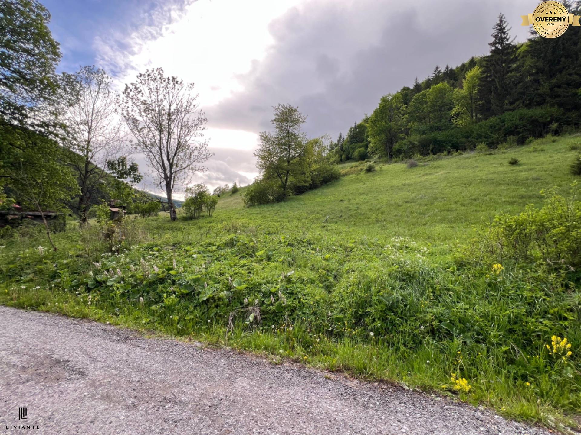 Pozemok_Motycky_LIVIANTE 18.JPG