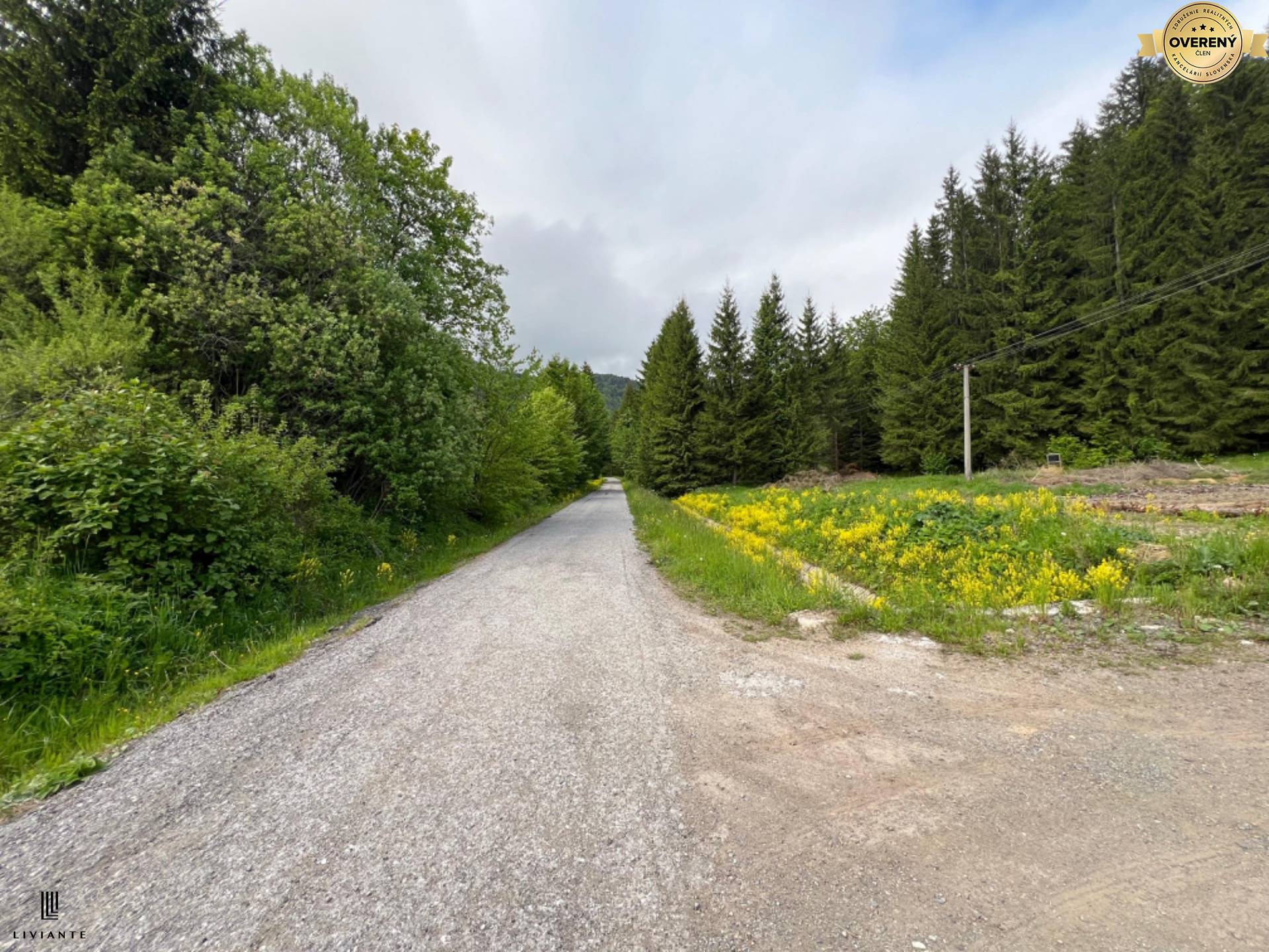 Pozemok_Motycky_LIVIANTE 22.JPG