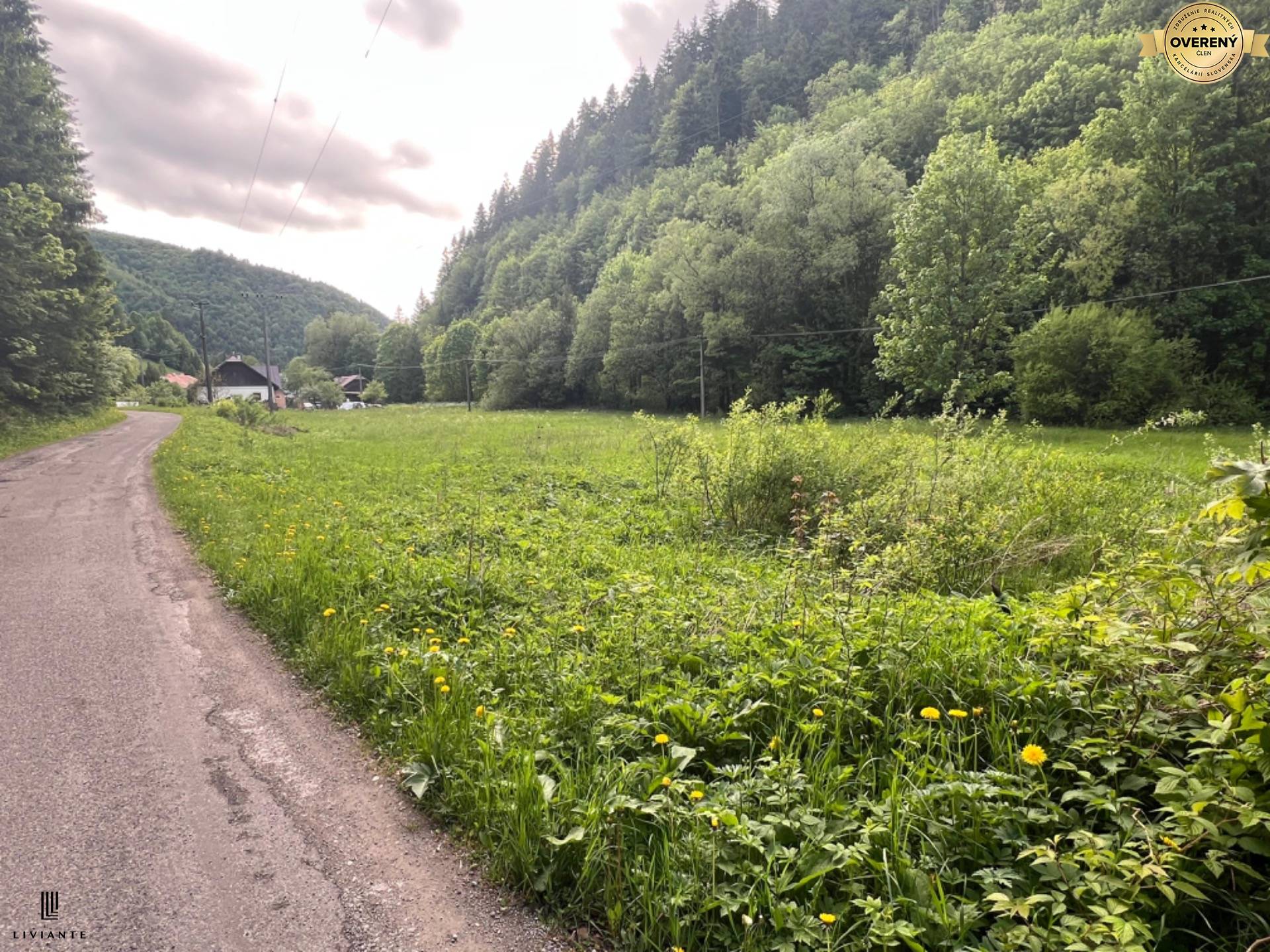 Pozemok_Motycky_LIVIANTE 19.JPG