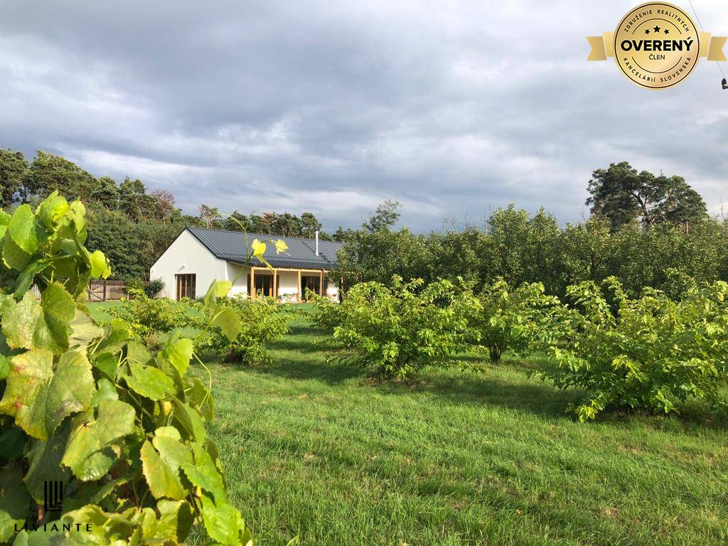 Foto3_ovocny sad_Lab.jpeg