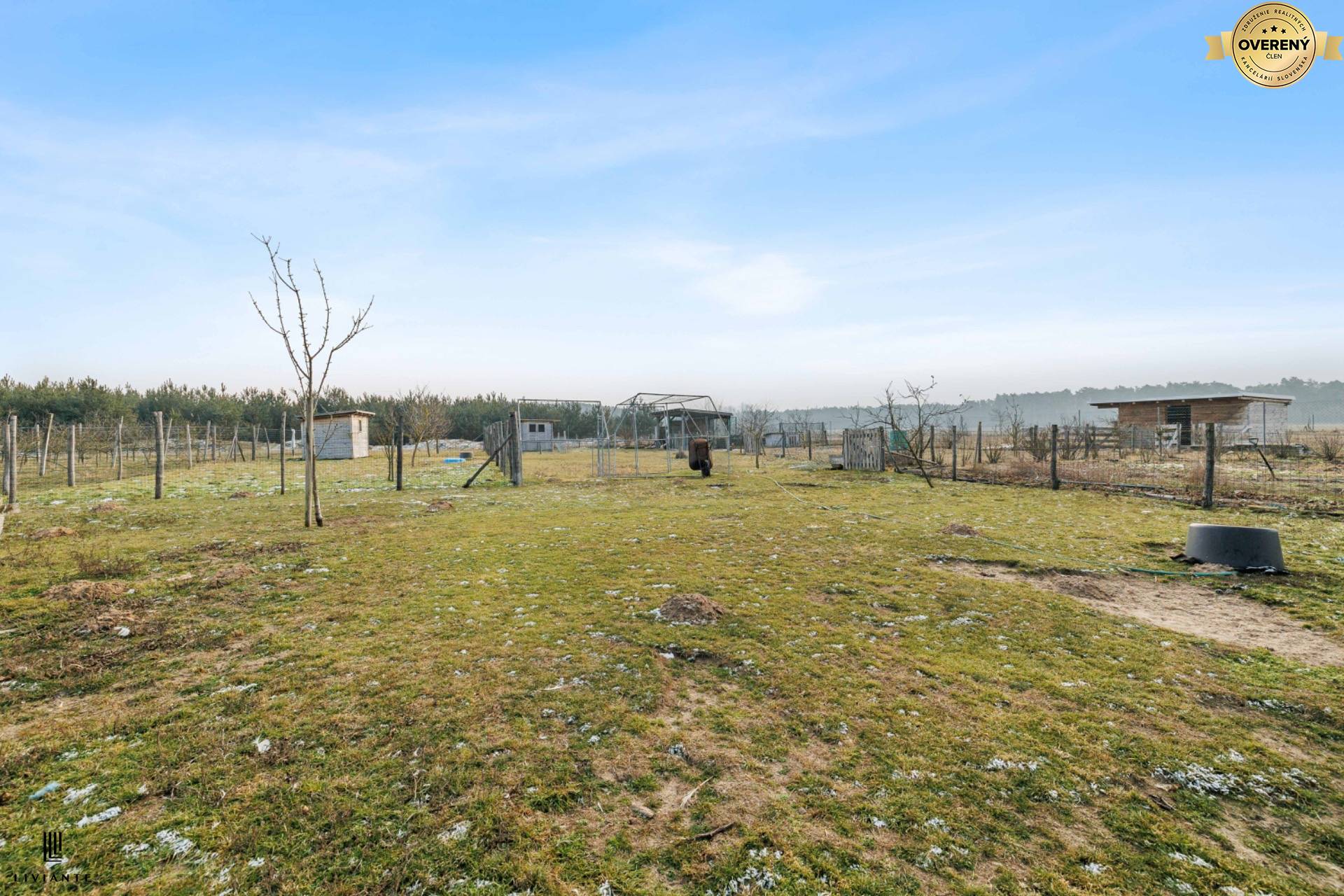 Lab_Ovocny sad_22.jpg