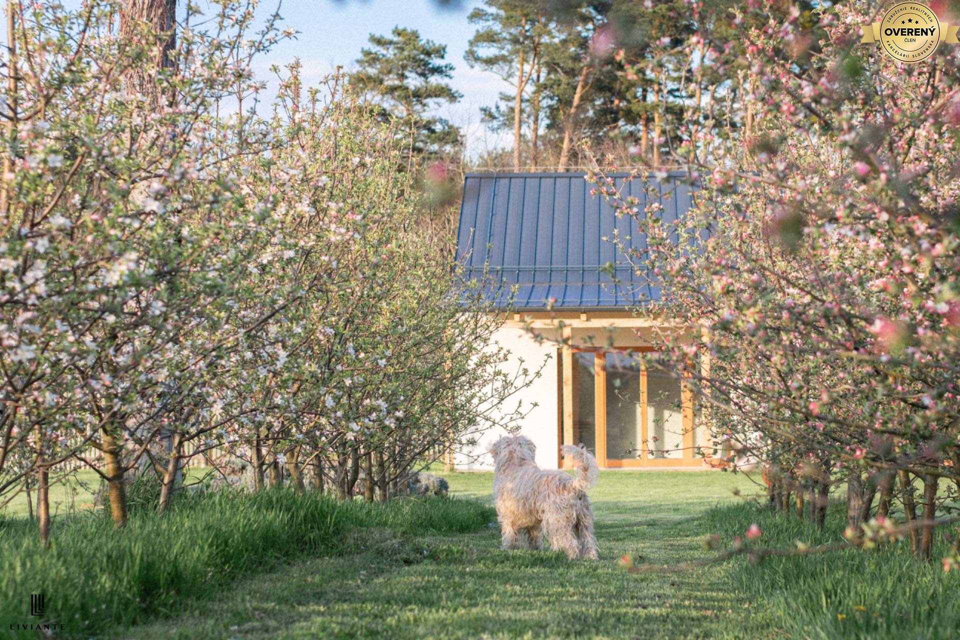 Foto1_ovocny sad_Lab.jpeg