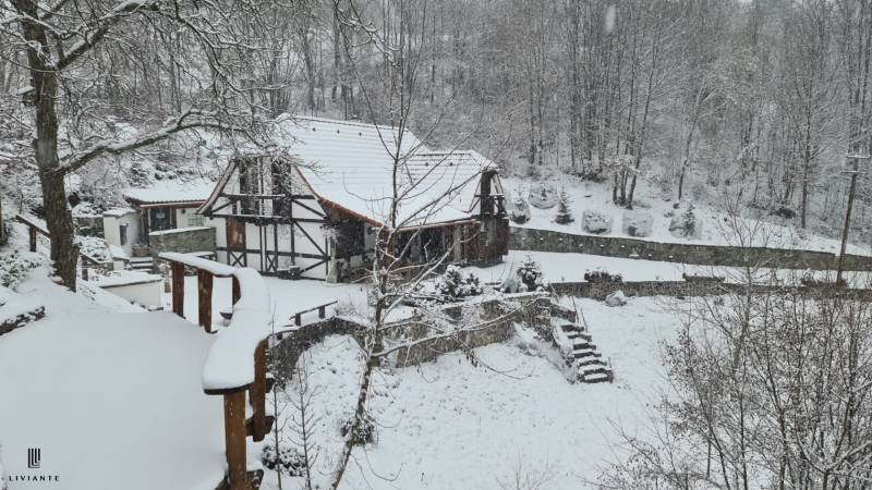 RD_Banska Stiavnica_LIVIANTE_38.JPG