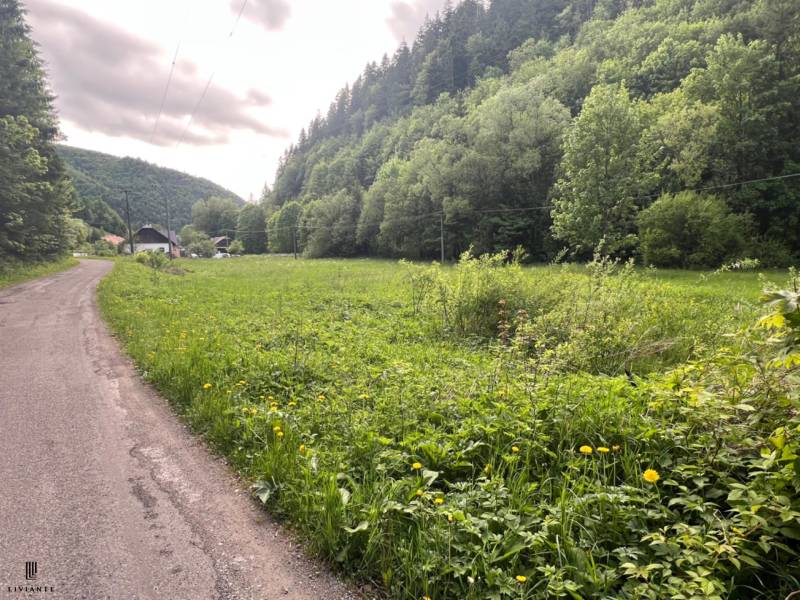 Pozemok_Motycky_LIVIANTE 19.JPG