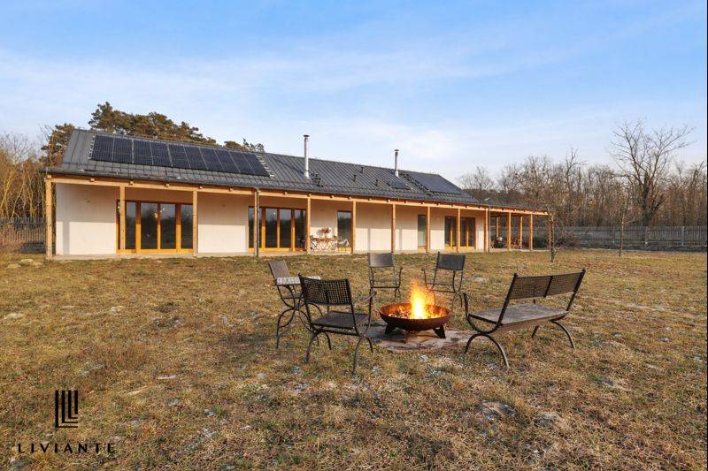 Lab_Ovocny sad_26.jpg